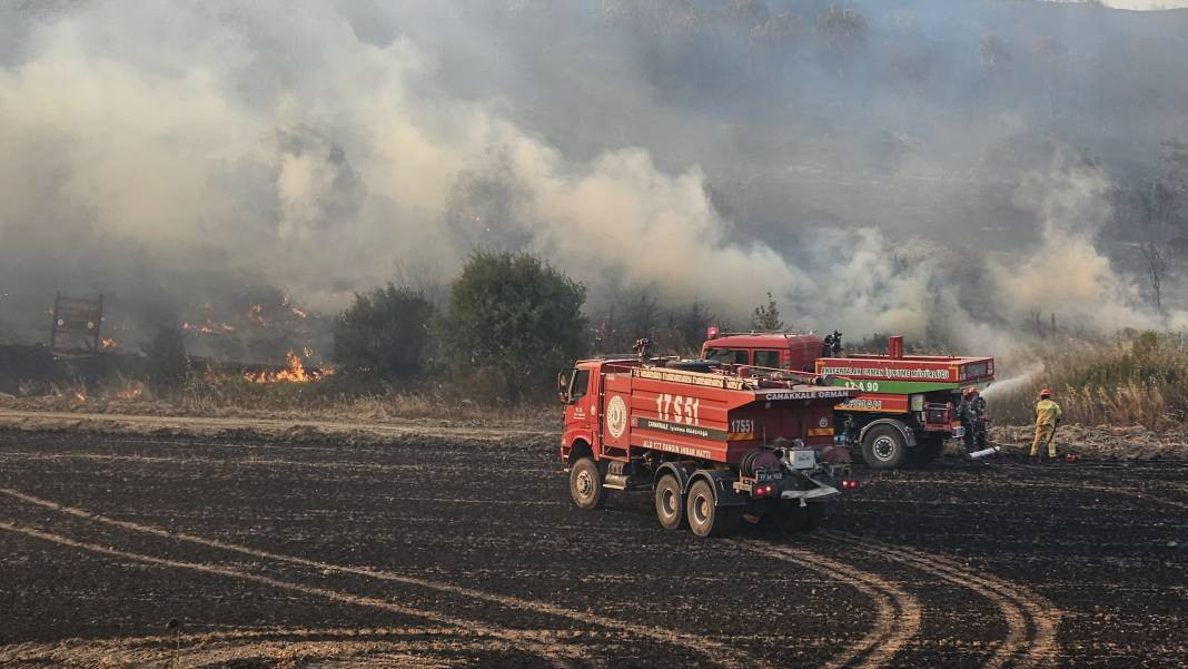 Çanakkale'deki Tarihi Alan'ın güney hattı ziyarete açıldı! Orman yangınında kapatılmıştı - Resim: 44